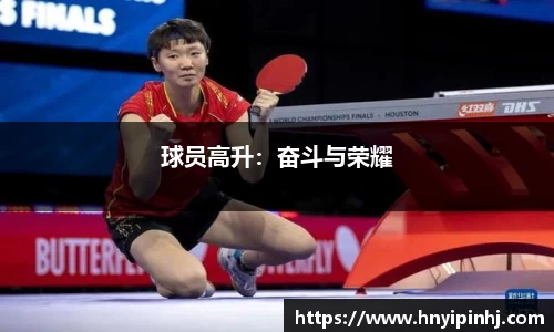 球员高升：奋斗与荣耀